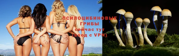 герыч Баксан