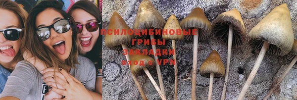 PSILOCYBIN Сосновка