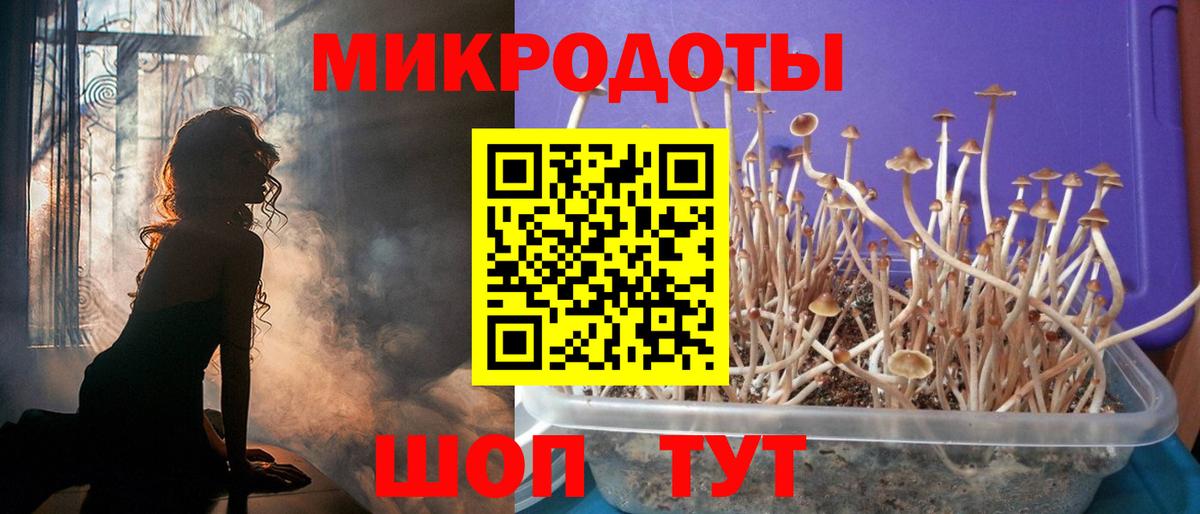 Псилоцибиновые грибы прущие грибы  Вход с VPN  Галлюциногенные грибы мицелий  Вязьма 
