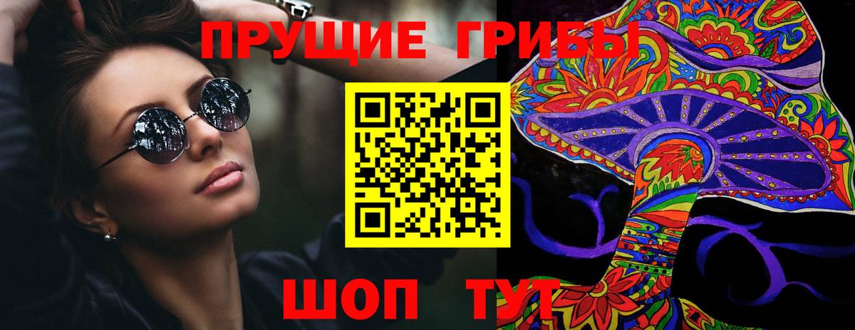 Псилоцибиновые грибы Cubensis Вязьма