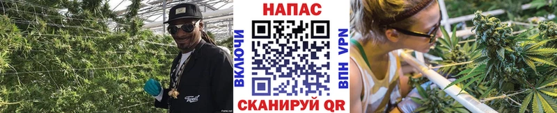 Бошки марихуана Bruce Banner купить закладку Вязьма